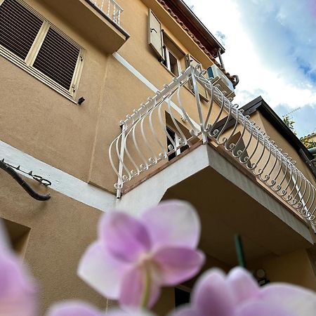 Ara Home Marcellinara 외부 사진